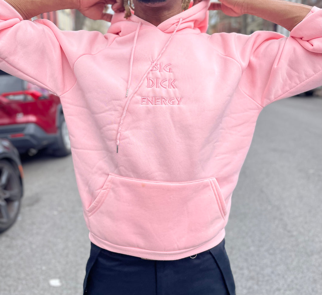 Pastel BIG DICK ENERGY hoodie